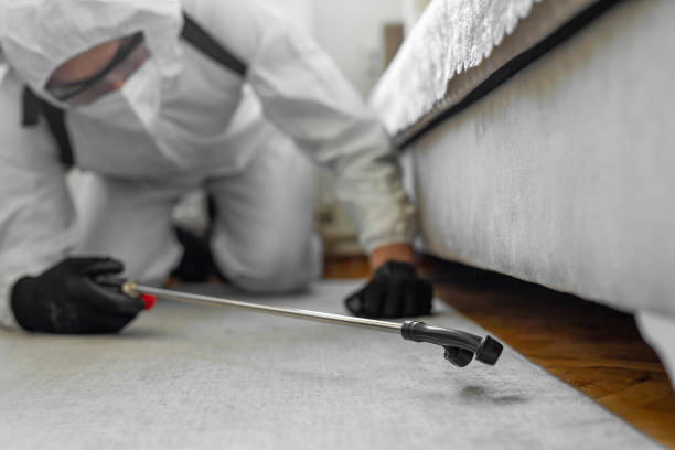 Professional Termite Control technician working in Highwood, IL