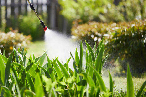 24/7 Emergency Termite Control experts in Highwood, IL